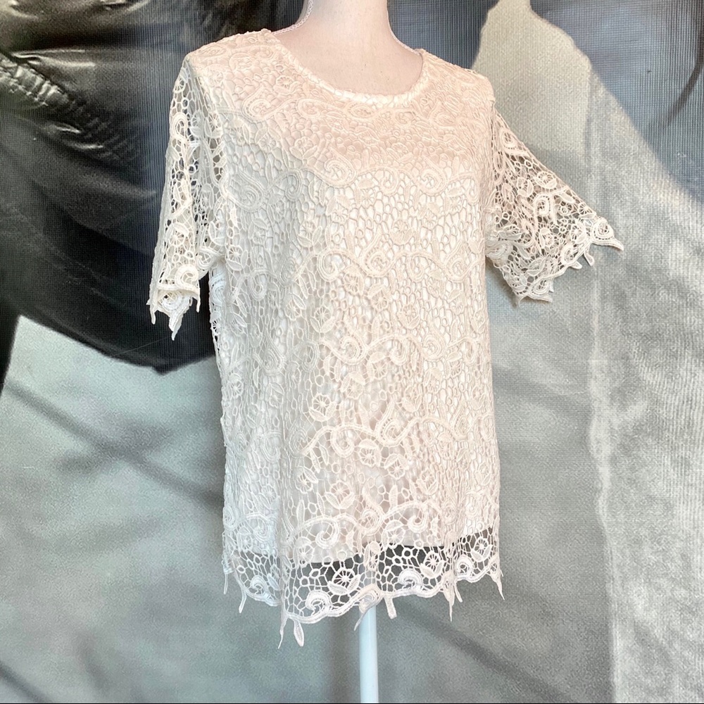 Philosophy lace top